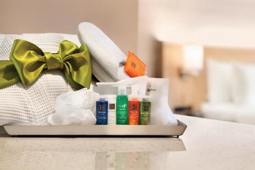 Radisson Hotel Charlotte Airport - image 19