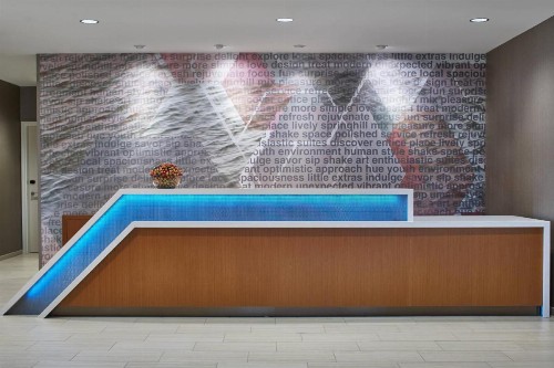 SpringHill Suites by Marriott Charlotte at Carowinds - image 19