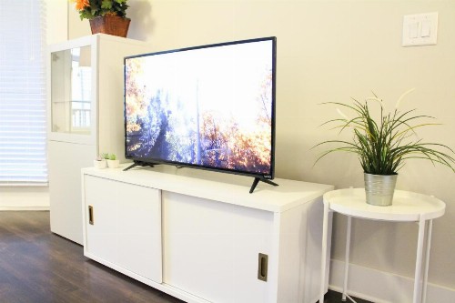 Luxury Dilworth 1BR - Near Food Shops & Greenway - image 11
