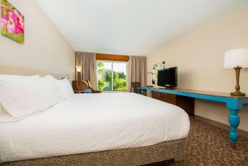 Hilton Garden Inn Charlottesville - image 13