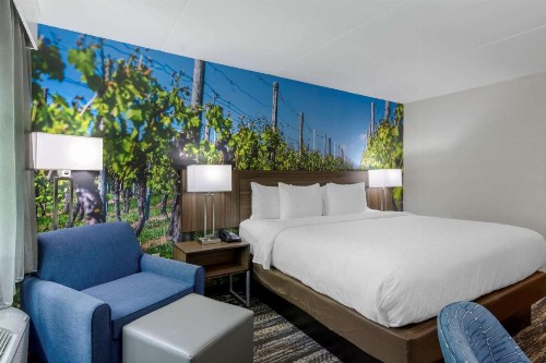 Clarion Pointe - image 16