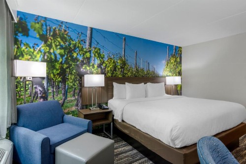 Clarion Pointe - image 31
