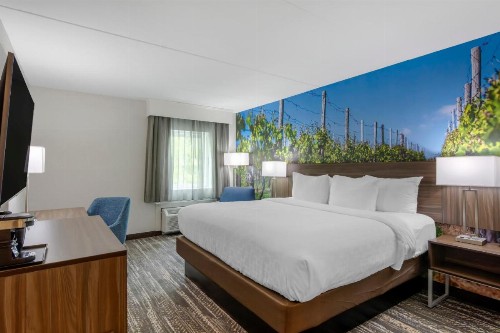Clarion Pointe - image 48
