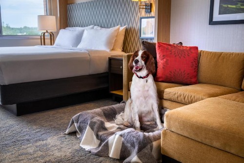 Holiday Inn Charlottesville-Monticello an IHG Hotel - image 13