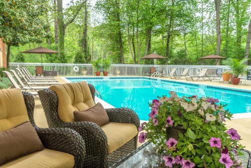 Holiday Inn Charlottesville-Monticello an IHG Hotel - image 22