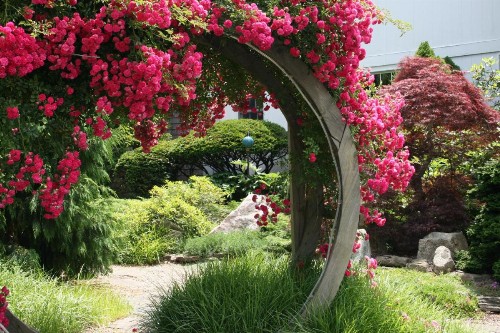 Pleasant Bay Village Resort - image 15