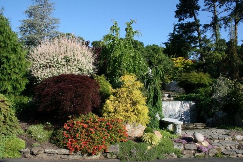 Pleasant Bay Village Resort - image 30