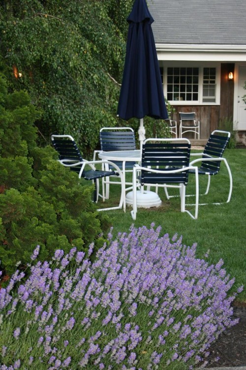 Pleasant Bay Village Resort - image 50