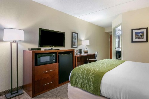 Comfort Inn Downtown Chattanooga - image 11