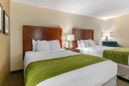 Comfort Inn Downtown Chattanooga - image 12