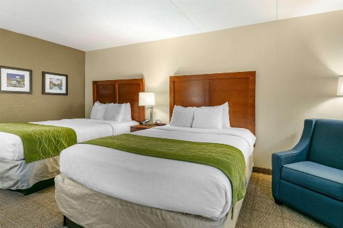 Comfort Inn Downtown Chattanooga - image 14