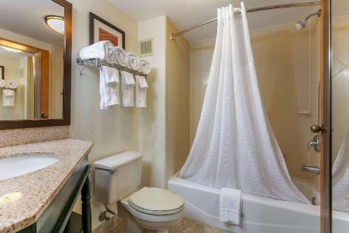 Comfort Inn Downtown Chattanooga - image 16