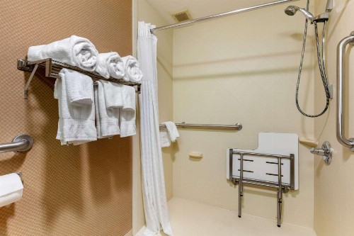Comfort Inn Downtown Chattanooga - image 17