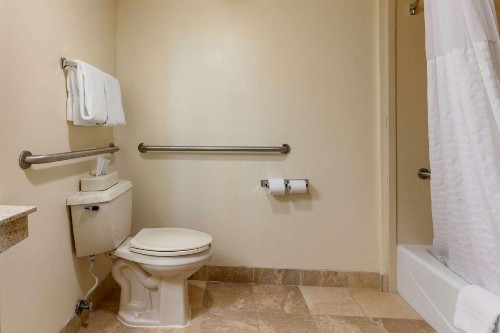 Comfort Inn Downtown Chattanooga - image 18