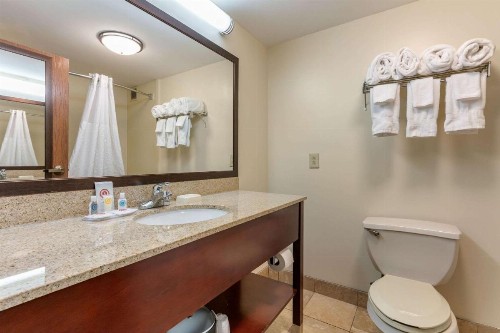 Comfort Inn Downtown Chattanooga - image 19