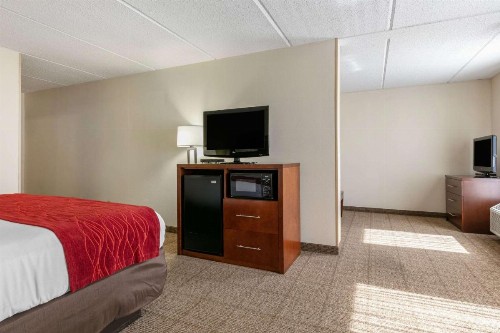 Comfort Inn Downtown Chattanooga - image 21