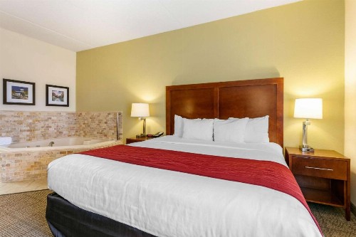 Comfort Inn Downtown Chattanooga - image 24