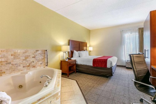 Comfort Inn Downtown Chattanooga - image 25
