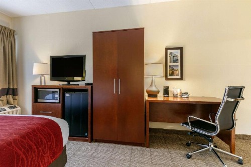 Comfort Inn Downtown Chattanooga - image 26