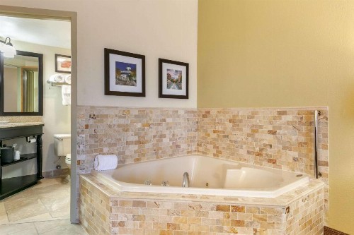 Comfort Inn Downtown Chattanooga - image 27