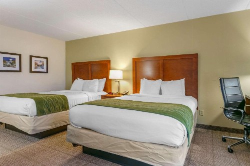 Comfort Inn Downtown Chattanooga - image 28