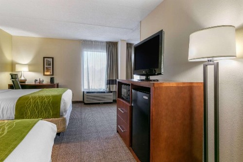 Comfort Inn Downtown Chattanooga - image 29