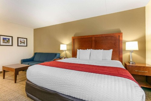 Comfort Inn Downtown Chattanooga - image 4