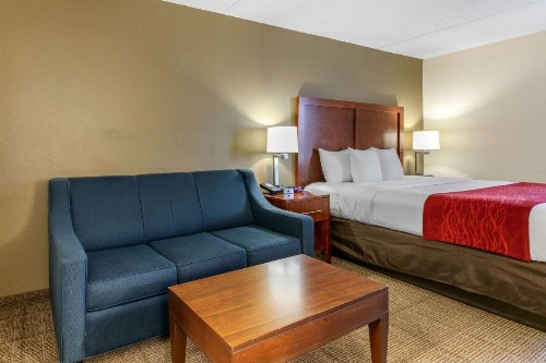 Comfort Inn Downtown Chattanooga - image 6