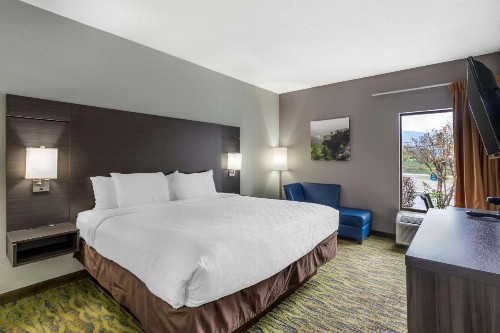 Clarion Inn near Lookout Mountain - image 16