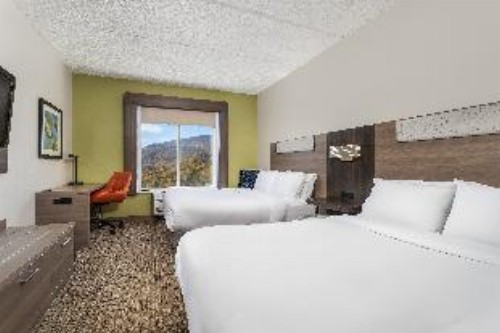 Holiday Inn Express Hotel & Suites Chattanooga-Lookout Mountain an IHG Hotel