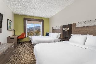 Holiday Inn Express Hotel & Suites Chattanooga-Lookout Mountain an IHG Hotel - main image