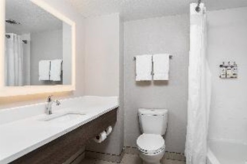 Holiday Inn Express Hotel & Suites Chattanooga-Lookout Mountain an IHG Hotel - image 2