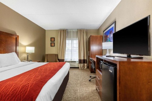 Comfort Inn & Suites Hamilton Place - image 3