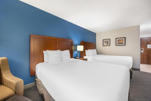 Comfort Inn & Suites Lookout Mountain - image 21