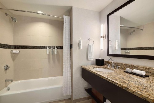 Embassy Suites Chattanooga Hamilton Place - image 26
