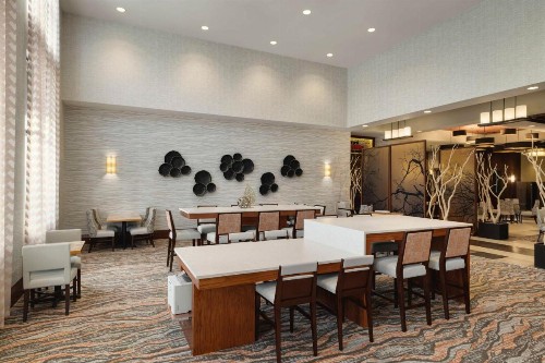 Embassy Suites Chattanooga Hamilton Place - image 9