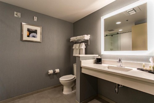 Holiday Inn Hotel & Suites Chattanooga an IHG Hotel - image 20