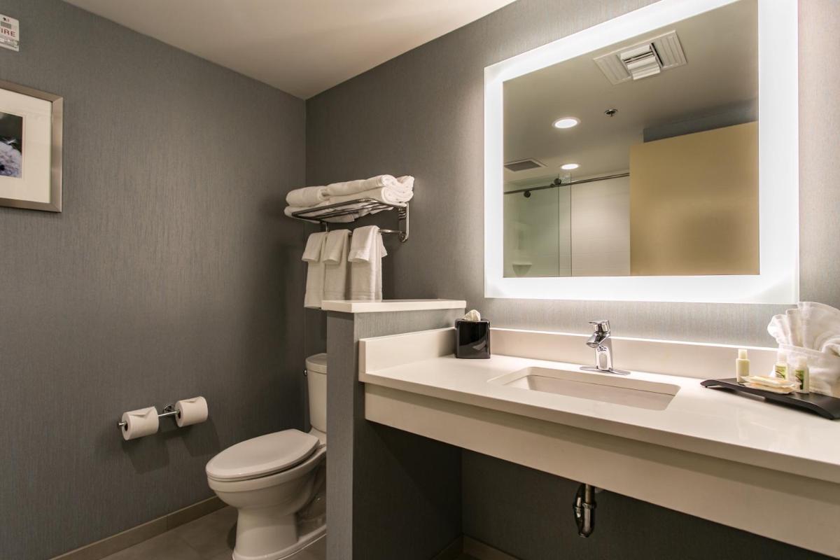 Holiday Inn Hotel & Suites Chattanooga an IHG Hotel - image 3