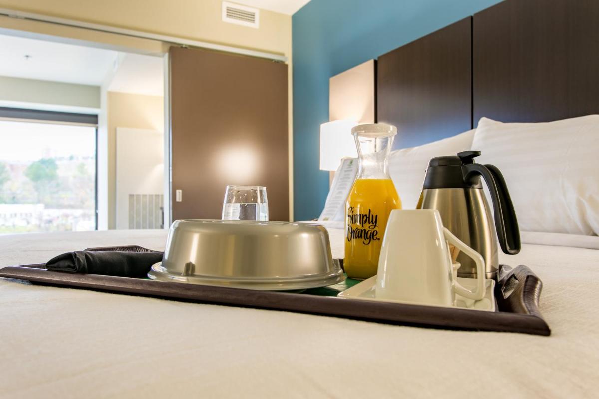 Holiday Inn Hotel & Suites Chattanooga an IHG Hotel - image 7