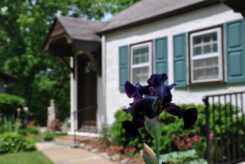 RiverView Inn - image 3