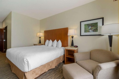 Best Western Plus Park Place Inn & Suites - image 17