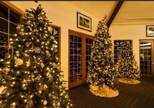 Lakeside Lodge and Suites - image 24