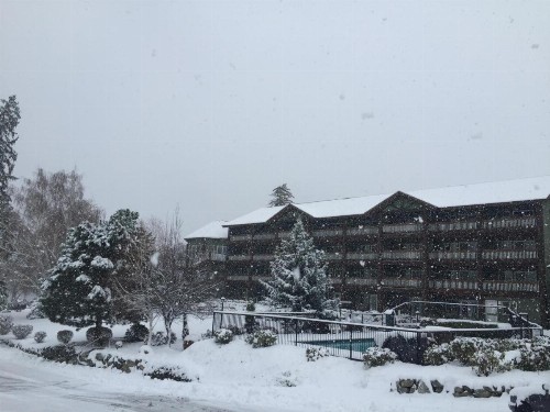 Lakeside Lodge and Suites - image 38