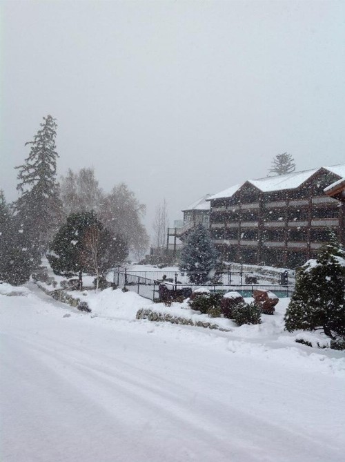 Lakeside Lodge and Suites - image 41