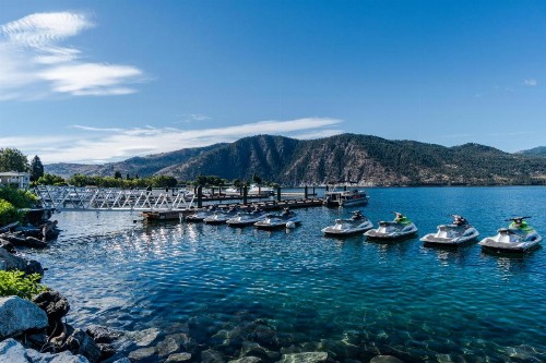 Chelan Chalet - image 11
