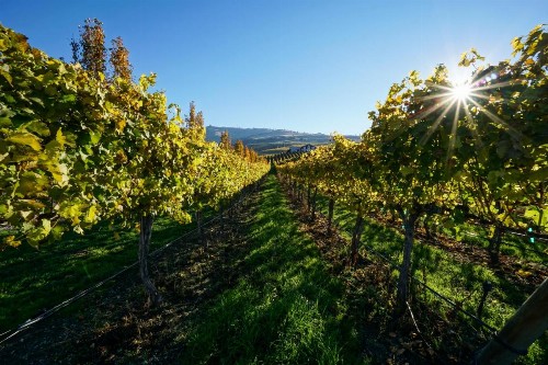 4 Bed 3 Bath Vacation home in Chelan - image 6