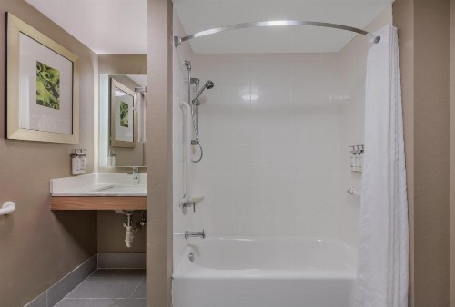 Staybridge Suites Chesapeake-Virginia Beach an IHG Hotel - image 38
