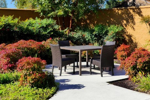 Courtyard Chesapeake Greenbrier - image 14