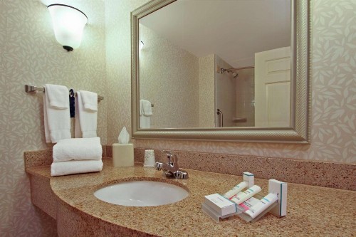 Hilton Garden Inn Chesapeake - image 17