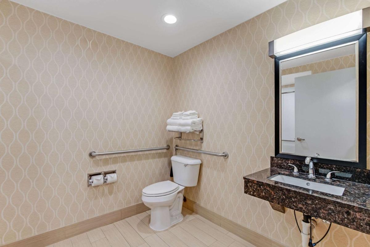 Comfort Suites Chesapeake - Norfolk - image 6
